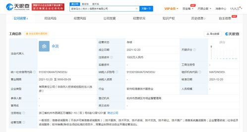 支付寶成立數字馬力公司，拓展社會經濟咨詢服務新版圖