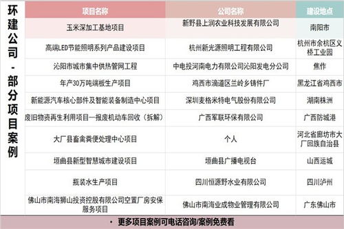 阿克塞哈薩克族自治縣專業(yè)社會經(jīng)濟咨詢服務單位資金申請報告編寫資質(zhì)解析